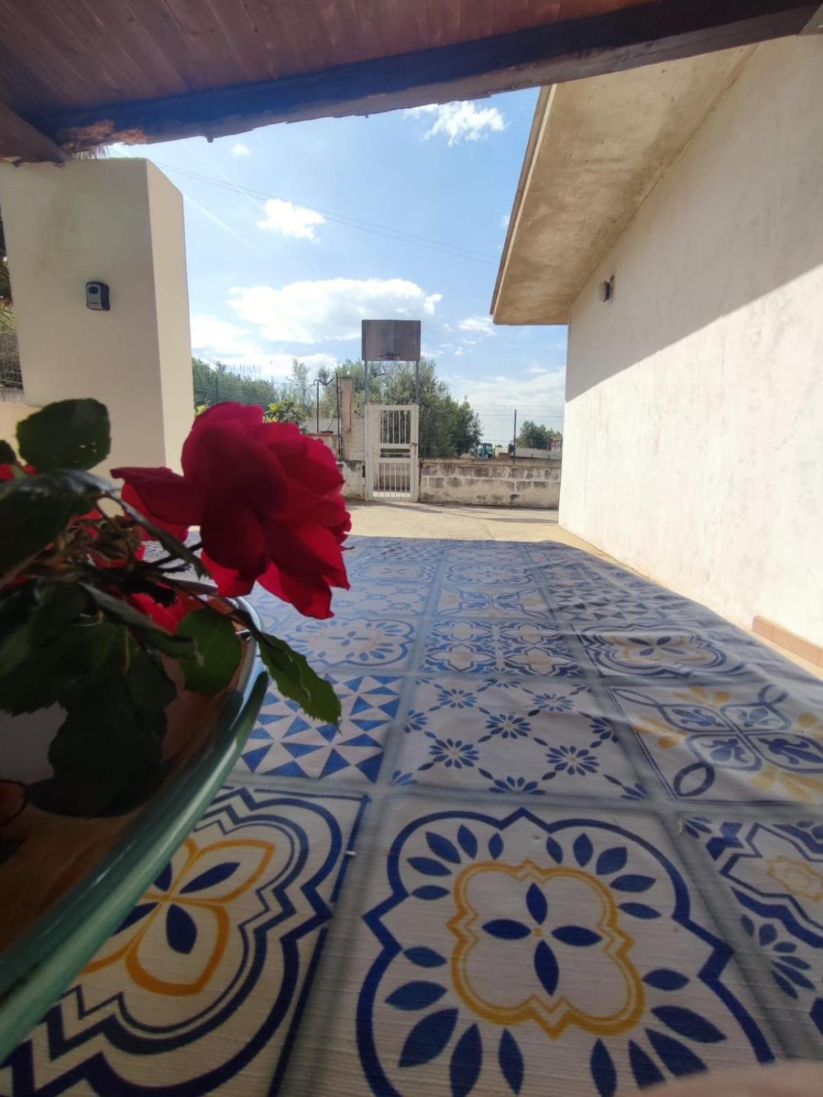 Balestrate Holiday Home 70 Mq ภายนอก รูปภาพ